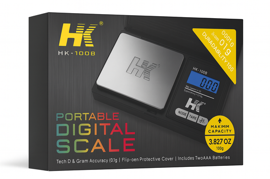 SC07: Hk-100 Scale